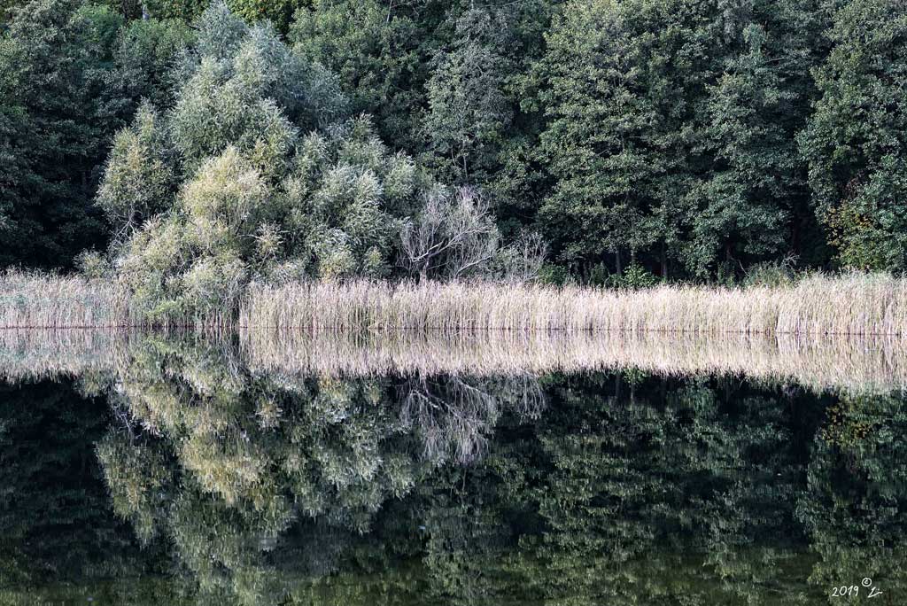 Spiegelung im See