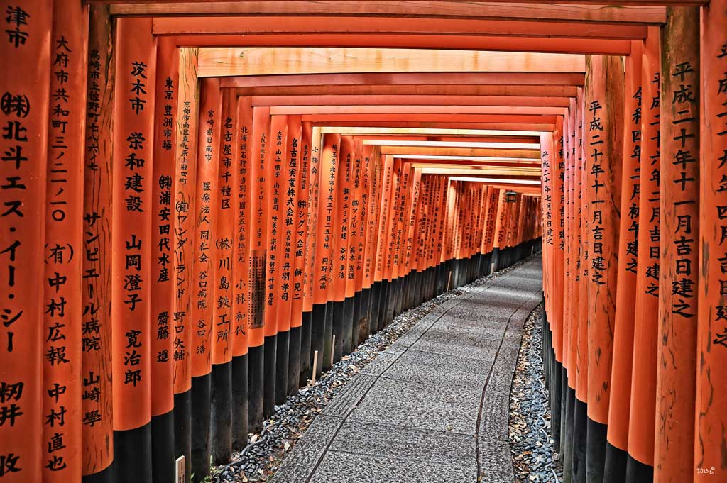 Thousand Torii Gates - Fushimi Inari Taisha Sembon Torii in Kyoto