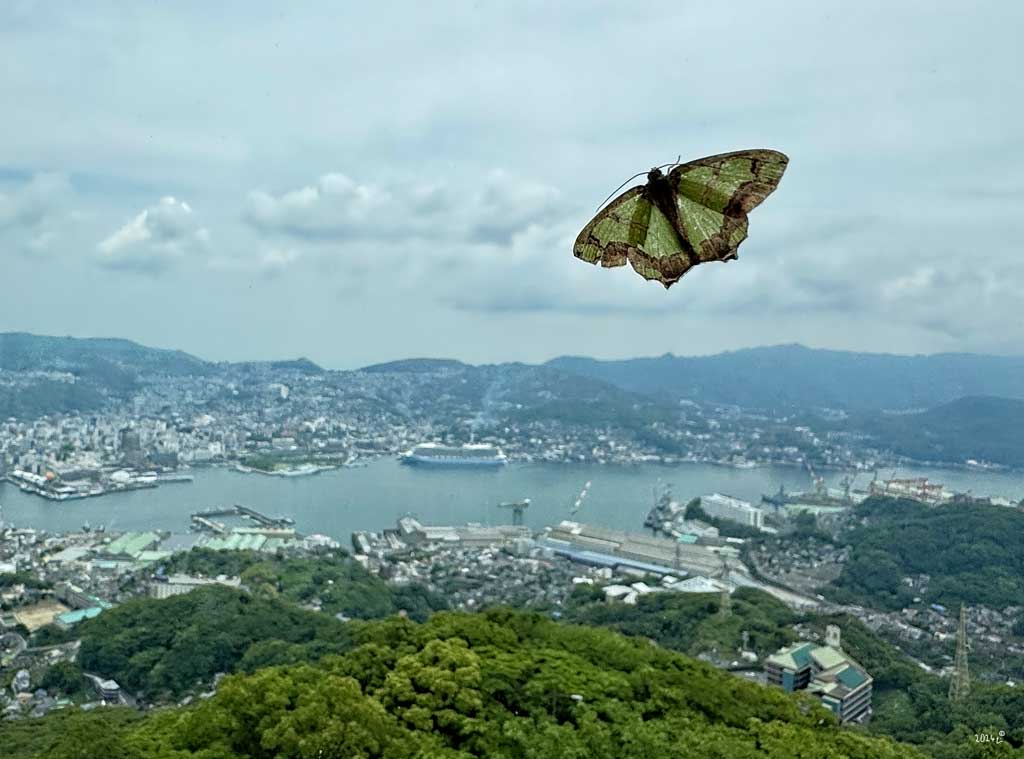 Schmetterling mit Blick auf Nagasaki mit Hafen