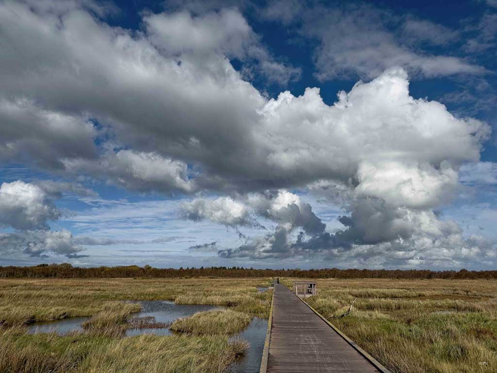 Weg durch die Borkumer Salzwiesen mit Wolken am Himmel